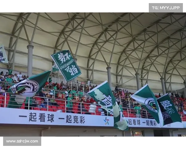 滇超联赛普洱队1-0胜西双版纳队,林建行制胜球锁定胜局 滇超联赛普洱队1-0胜西双版纳队,林建行制胜球锁定胜局